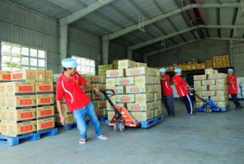 Dịch vụ bốc vác tại Hạ Long